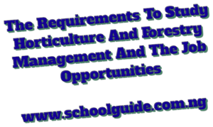 Requirements To Study Horticulture/Wildlife And Forestry Management And The Job Opportunities